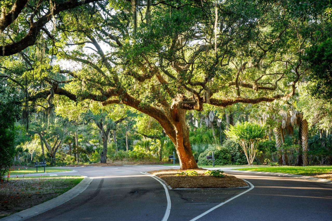 1313 Pelican Watch - Seabrook Island - Beachfront 5 Star Condo - Fido Friendly Ngoại thất bức ảnh