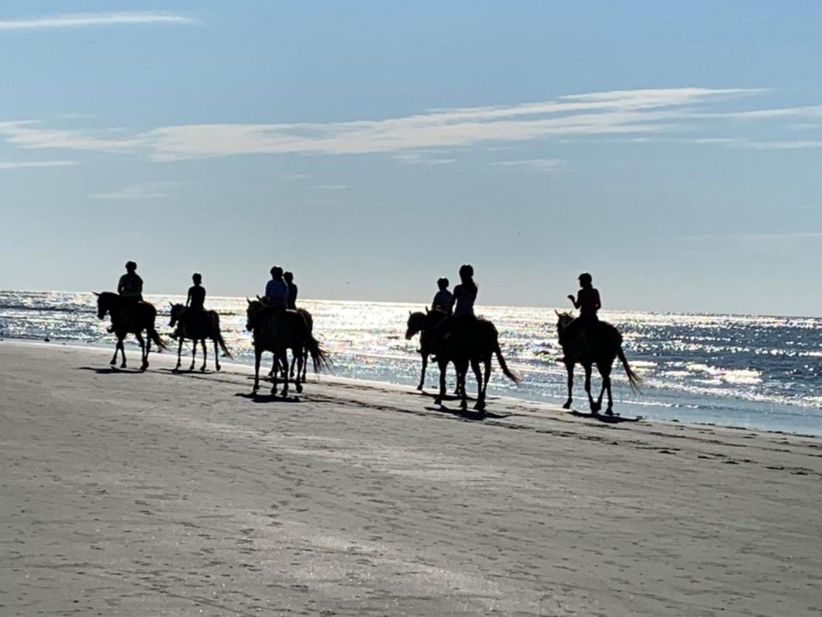 1313 Pelican Watch - Seabrook Island - Beachfront 5 Star Condo - Fido Friendly Ngoại thất bức ảnh