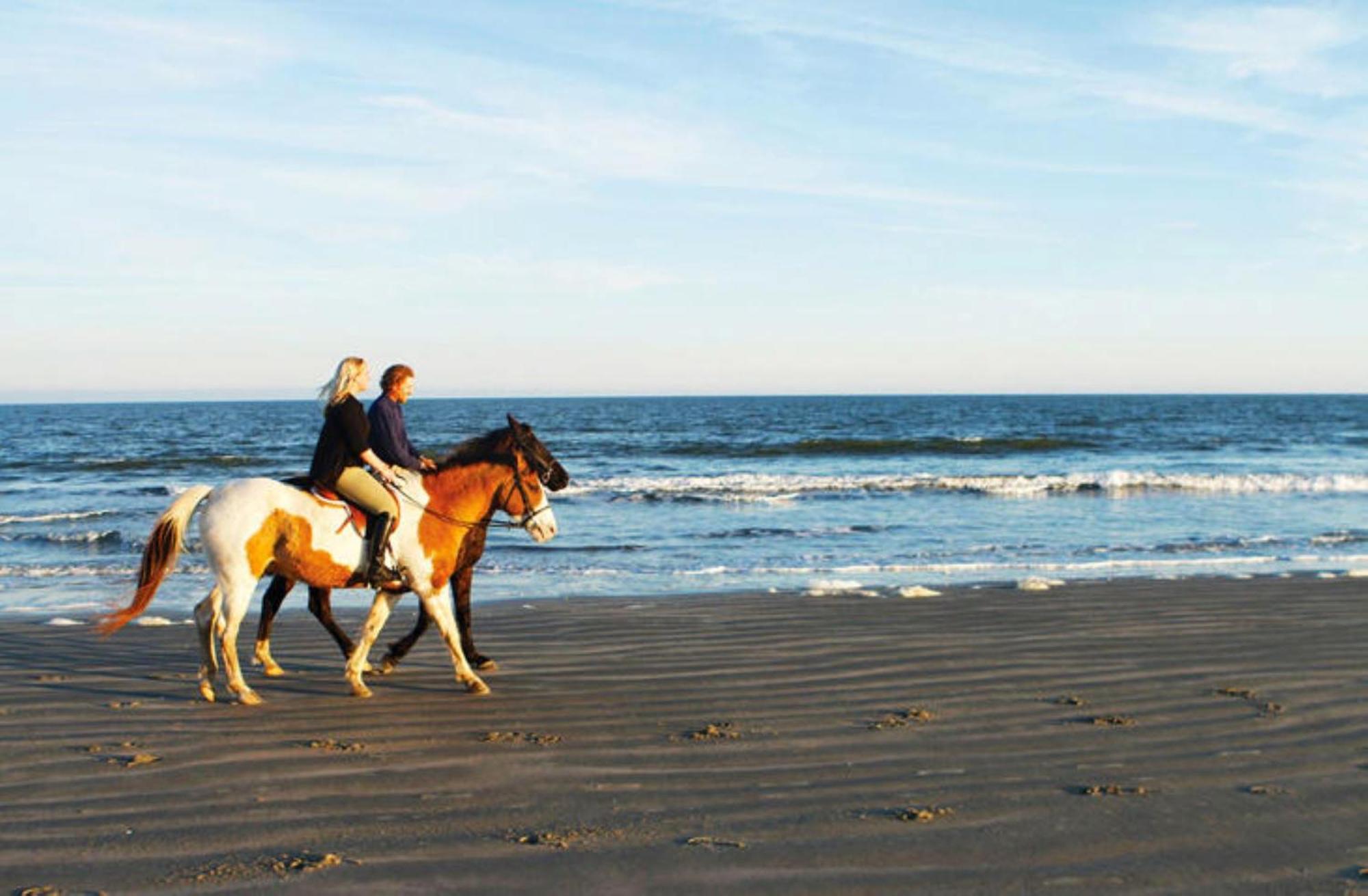 1313 Pelican Watch - Seabrook Island - Beachfront 5 Star Condo - Fido Friendly Ngoại thất bức ảnh